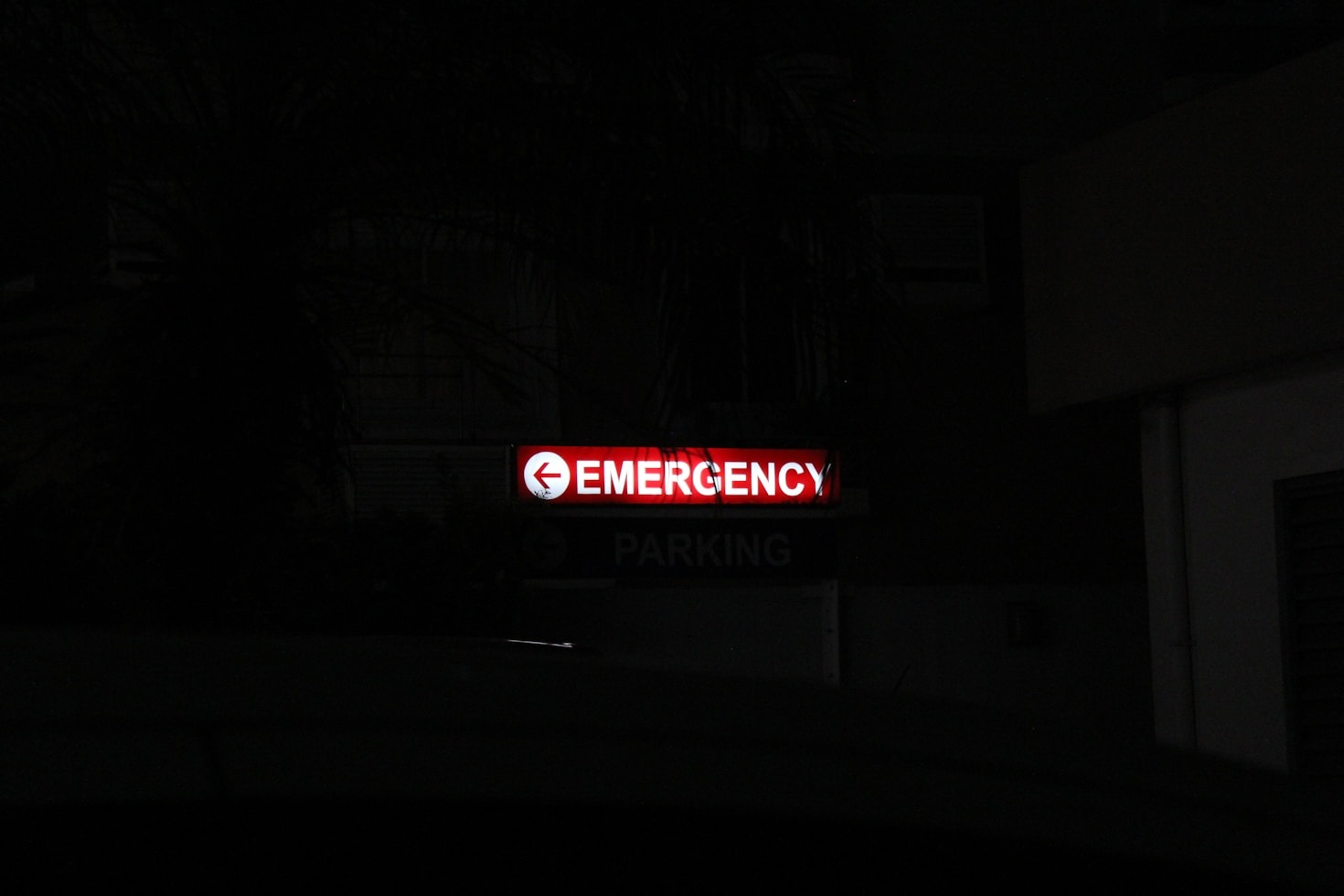 Steps to Secure Your WordPress Platform During Emergencies